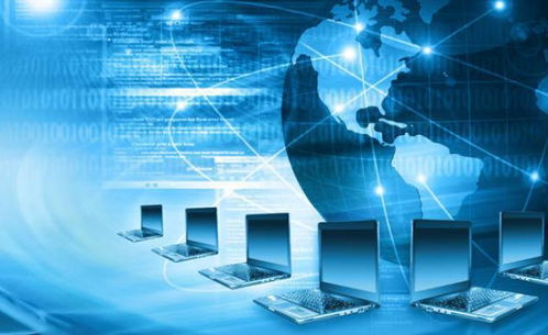 7個熱門專業(yè) 本科畢業(yè)即就業(yè)，職場“香餑餑”備受青睞