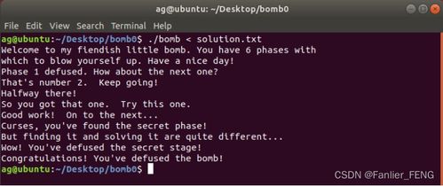 計(jì)算機(jī)系統(tǒng)基礎(chǔ)代理代辦 便捷背后的潛在風(fēng)險(xiǎn)與合理選擇